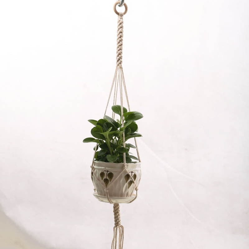 Handmade macrame plant flower pot hanger for wall decoration