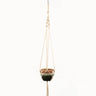Handmade macrame plant flower pot hanger for wall decoration