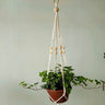Handmade macrame plant flower pot hanger for wall decoration