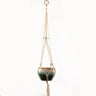 Handmade macrame plant flower pot hanger for wall decoration