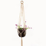 Handmade macrame plant flower pot hanger for wall decoration