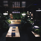Masina Pendant Lamp