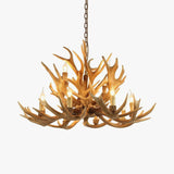 Narural Antlers Chandelier