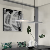 Aplomb Large LED pendant lamp