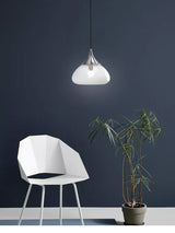 Frosted Glass Pendant Light