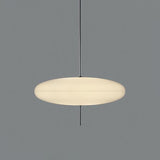 Acrylic Pendant  Light,  Model 2065