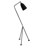 Grasshopper floor lamp
