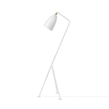 Grasshopper floor lamp