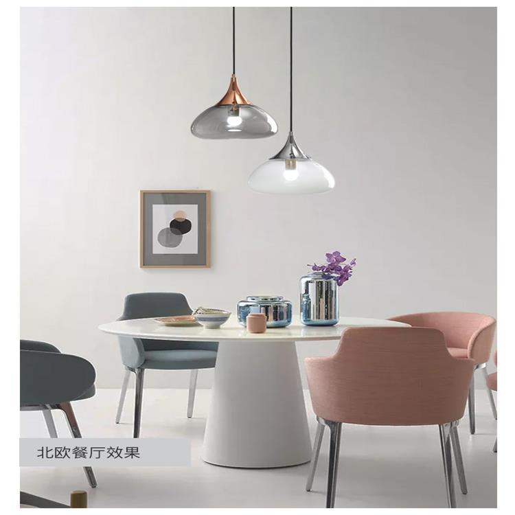 Frosted Glass Pendant Light