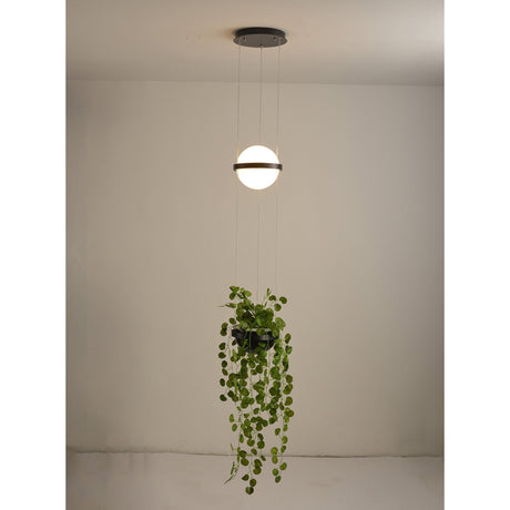 Palma Suspension Lamp