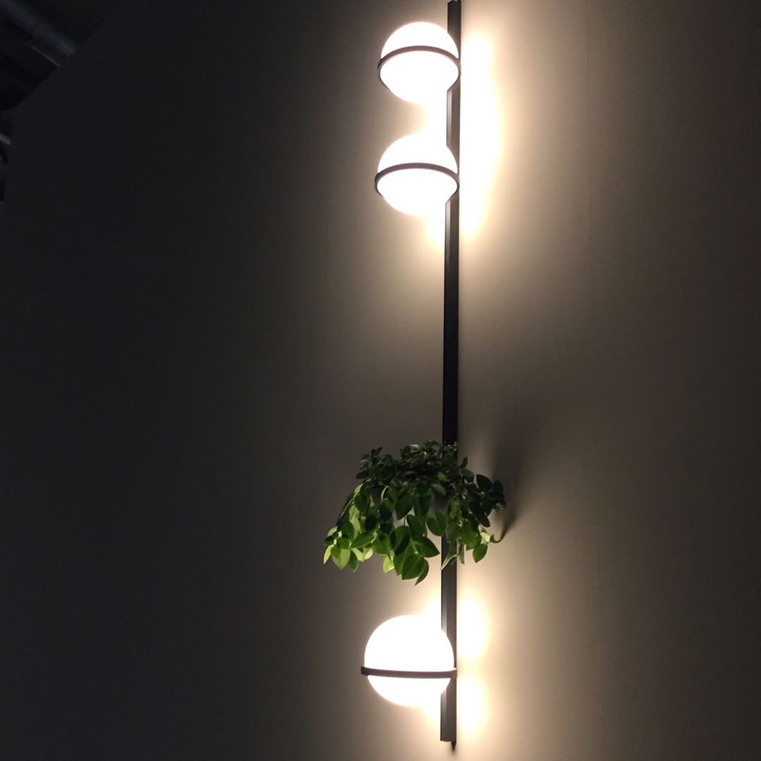 Palma Wall Lamp