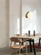 Pebble Pendant Lamp