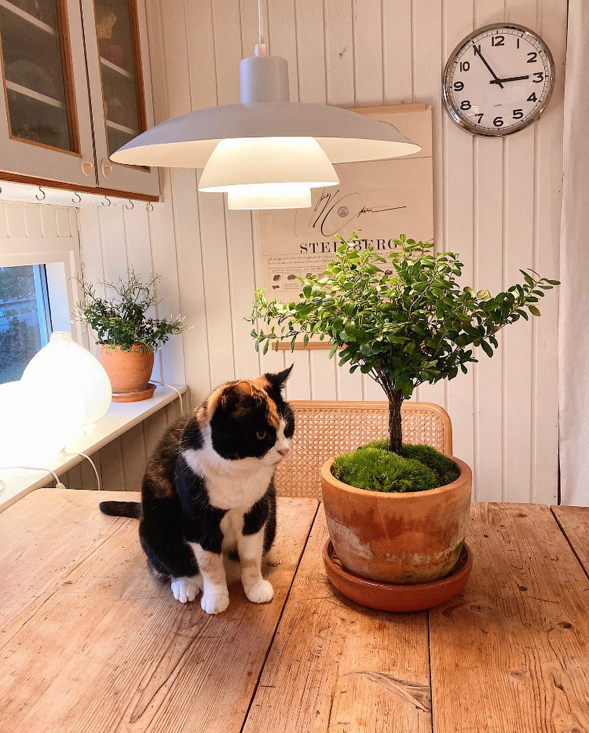 Three-layer Pendant Light