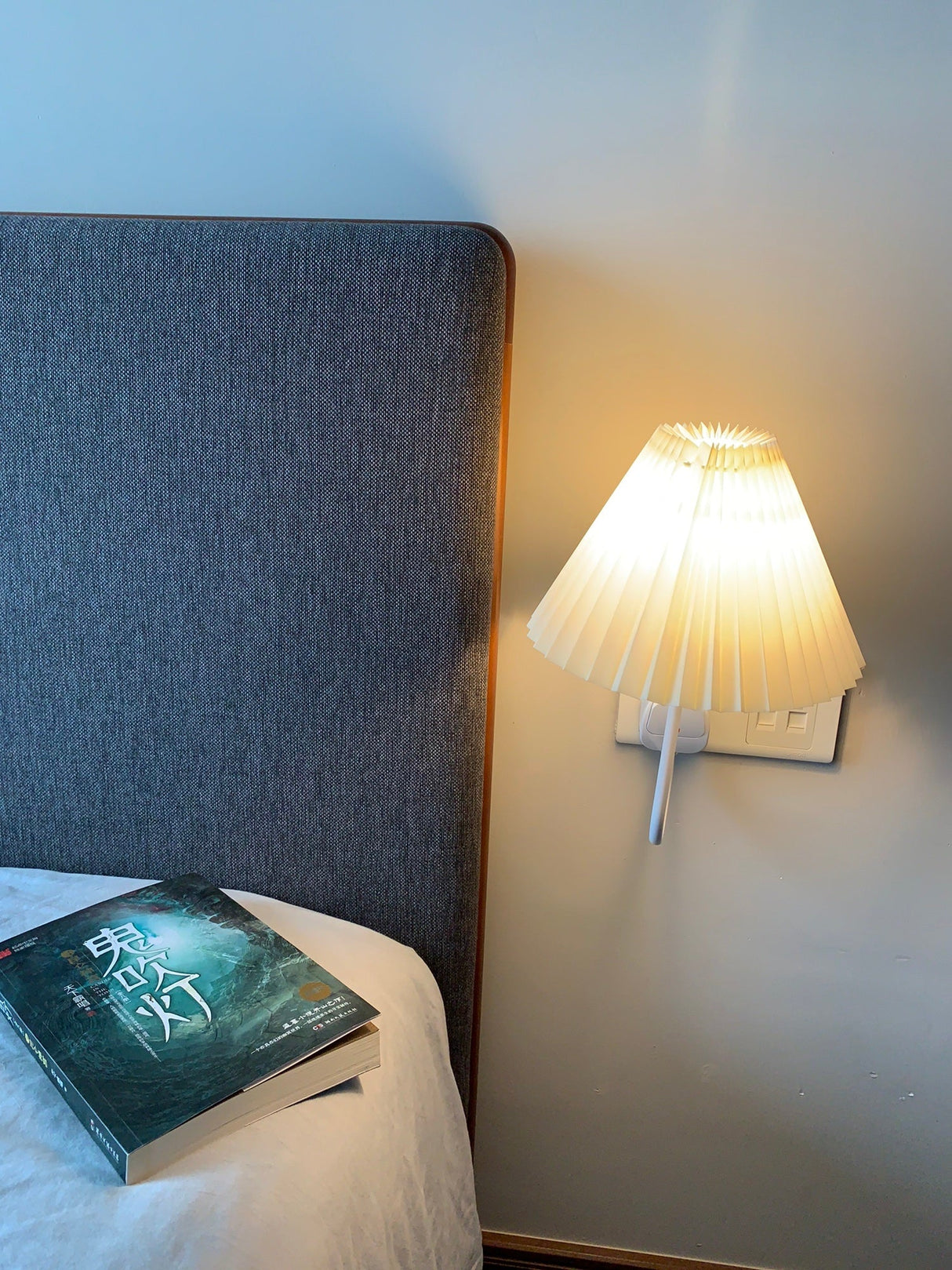 Plug-in Wall Light