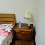 Plug-in Wall Light