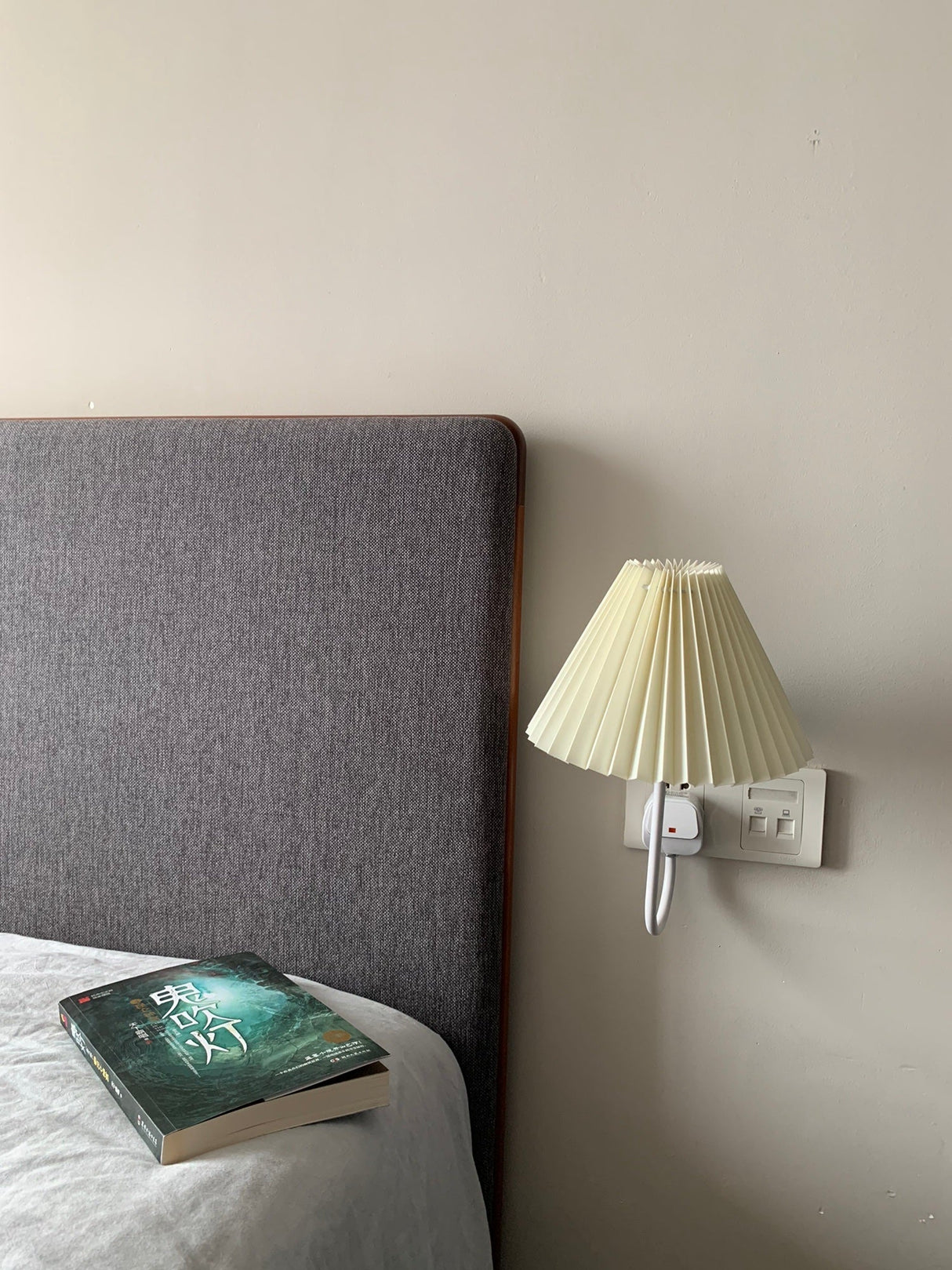 Plug-in Wall Light