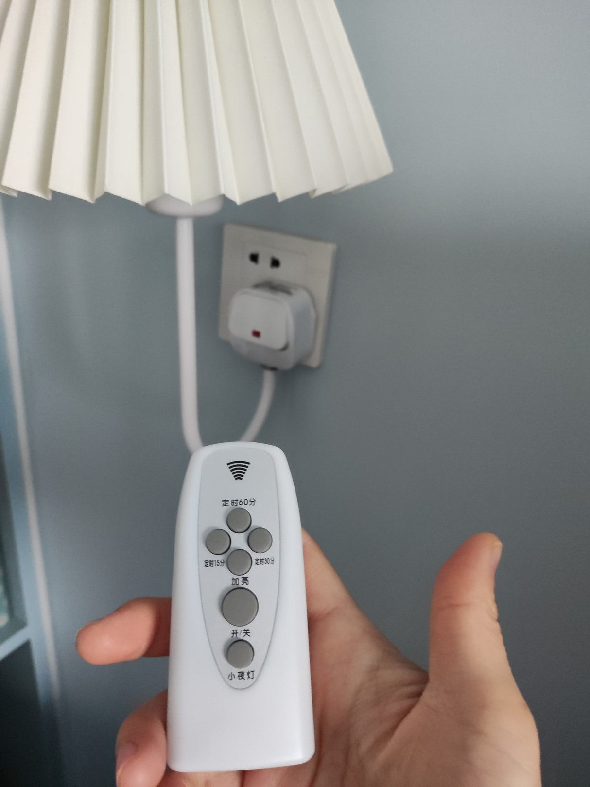 Plug-in Wall Light