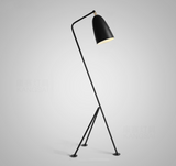 Grasshopper floor lamp