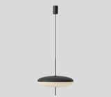 Acrylic Pendant  Light,  Model 2065