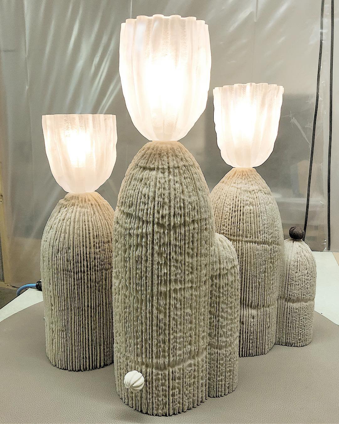 RBS Cactus Lamp