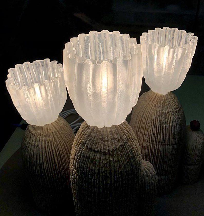 RBS Cactus Lamp