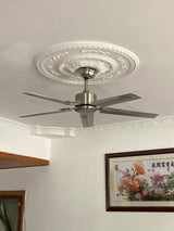 Rozzen Ceiling Fan