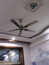 Rozzen Ceiling Fan