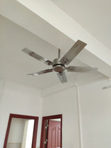 Rozzen Ceiling Fan