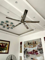 Rozzen Ceiling Fan