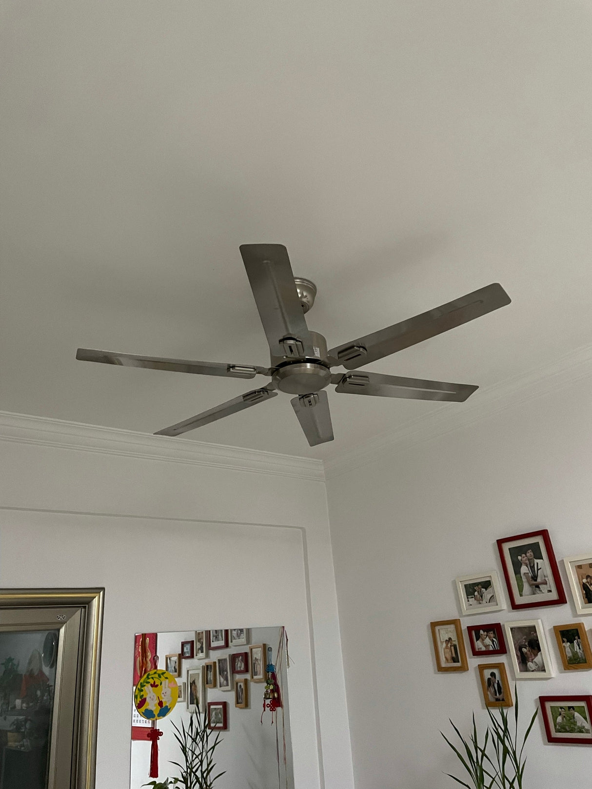 Rozzen Ceiling Fan