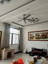 Rozzen Ceiling Fan