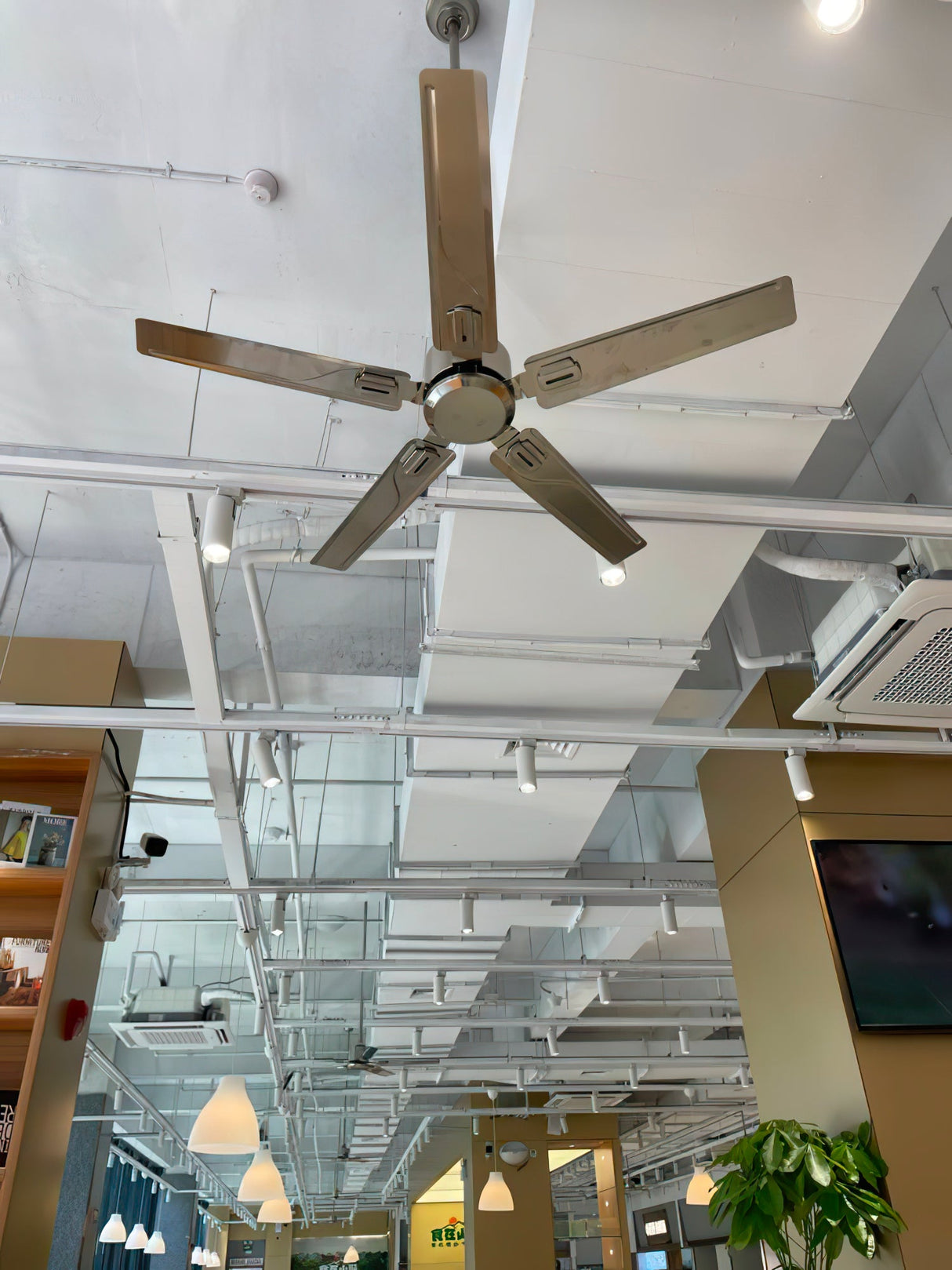 Rozzen Ceiling Fan