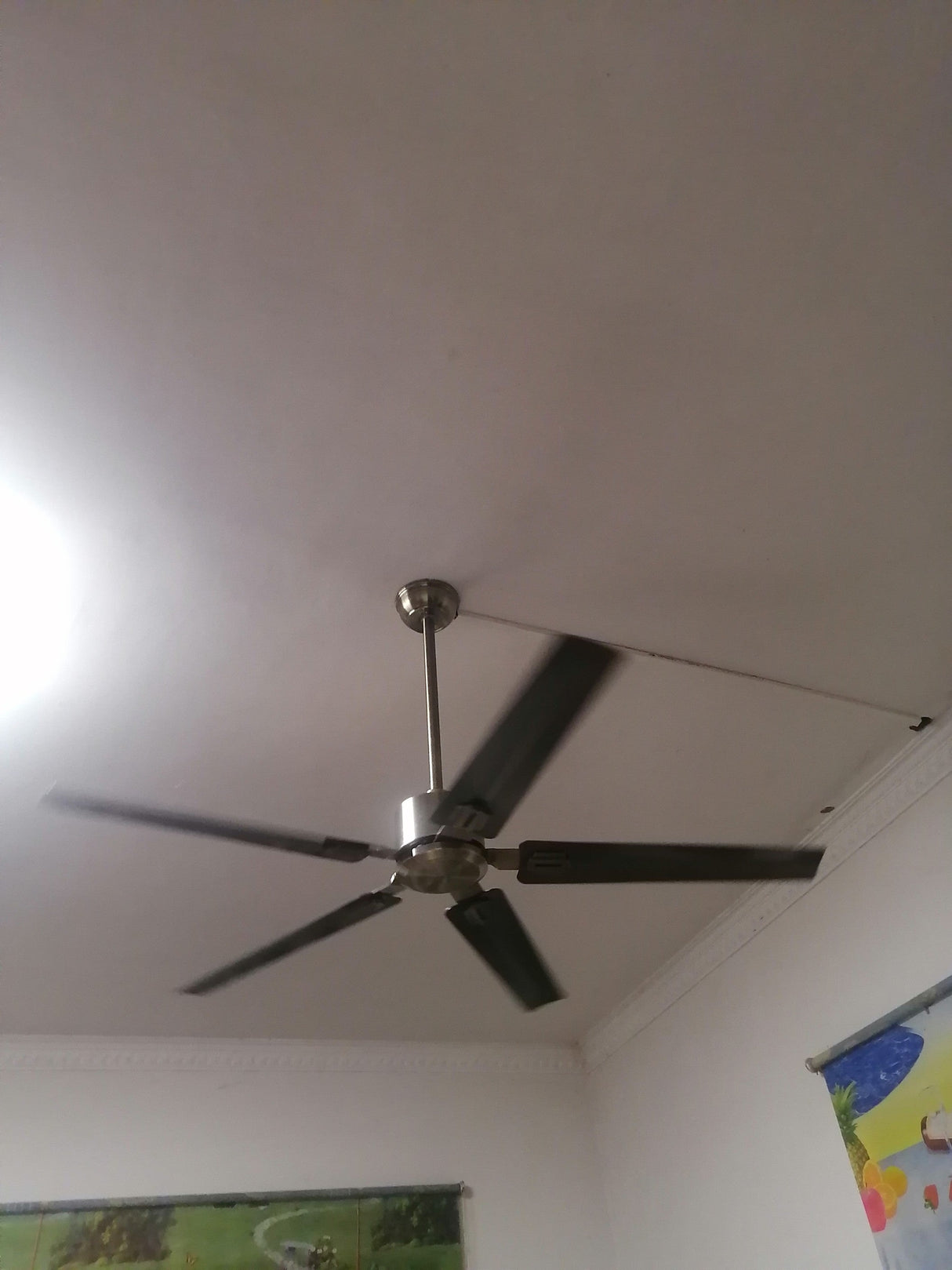 Rozzen Ceiling Fan