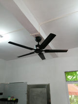 Rozzen Ceiling Fan