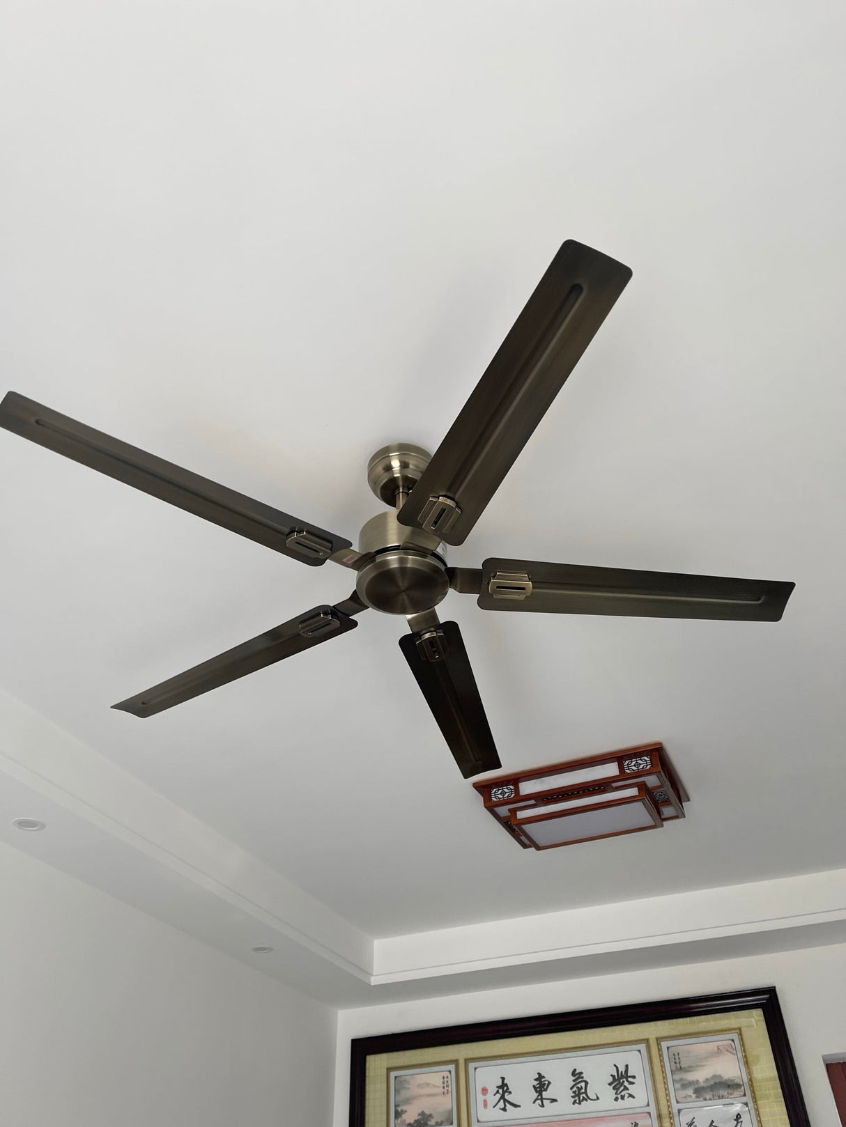 Rozzen Ceiling Fan