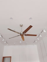 Rozzen Ceiling Fan