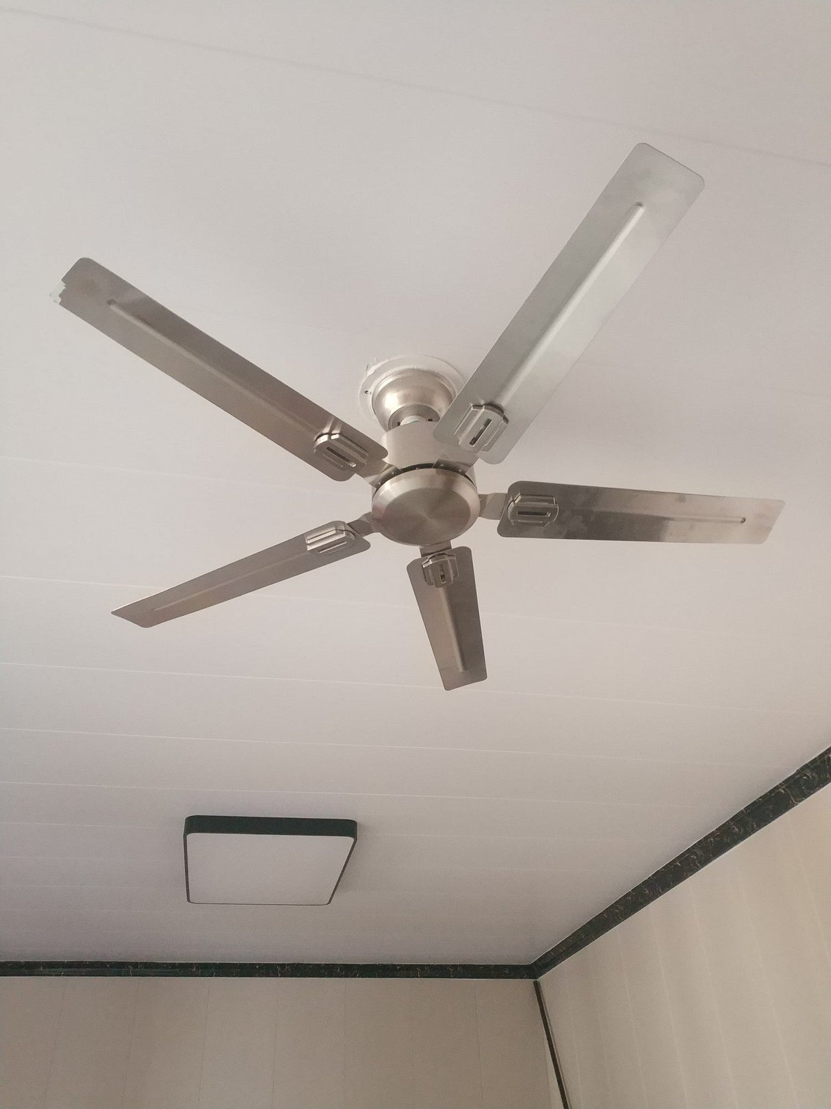 Rozzen Ceiling Fan