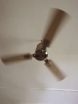 Rozzen Ceiling Fan