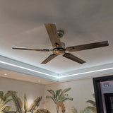 Rozzen Ceiling Fan