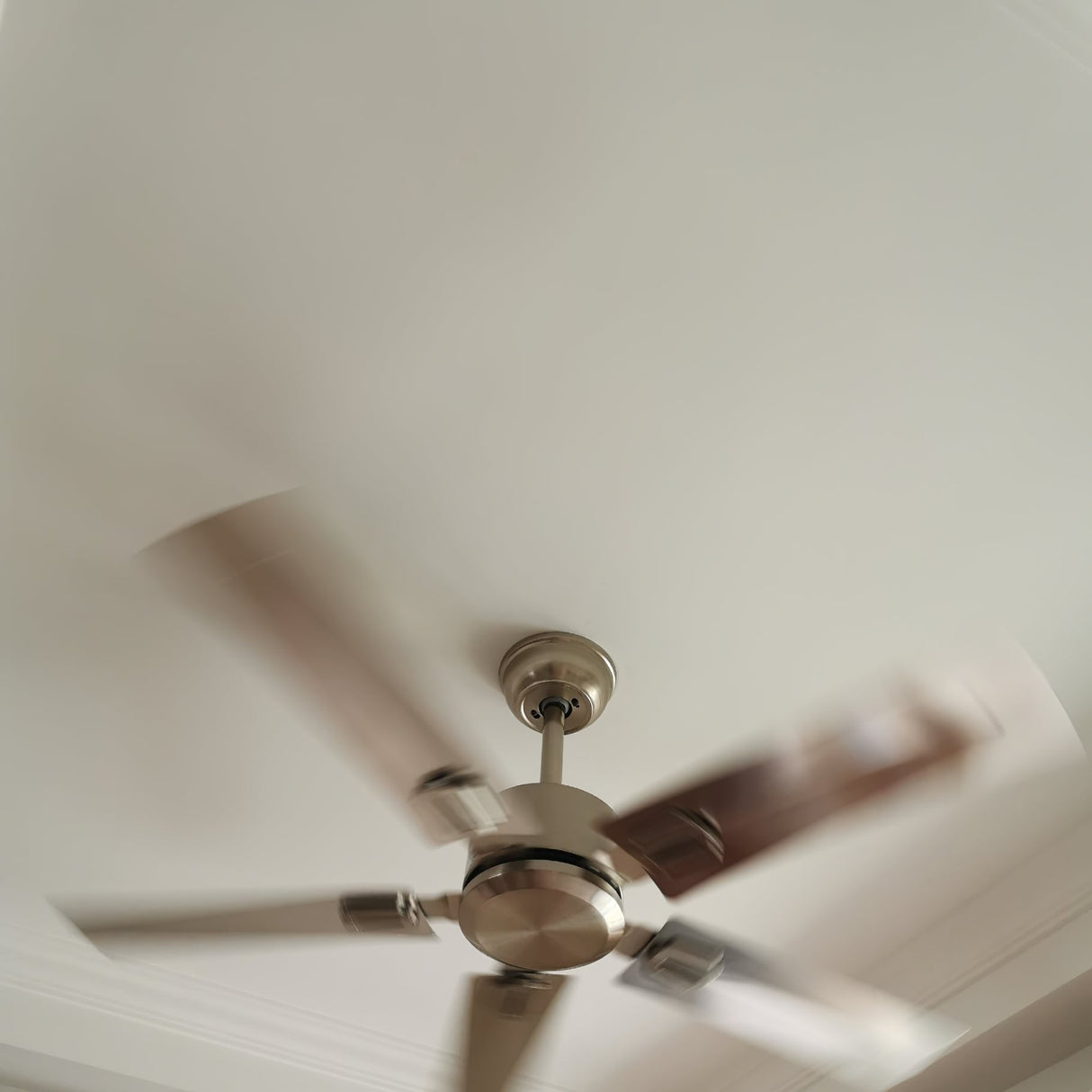 Rozzen Ceiling Fan