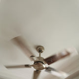 Rozzen Ceiling Fan