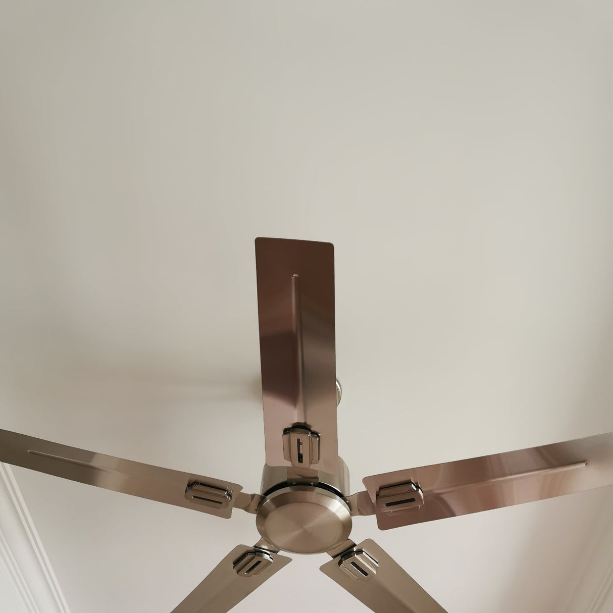 Rozzen Ceiling Fan