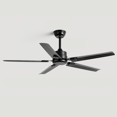 Rozzen Ceiling Fan