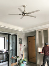 Rozzen Ceiling Fan