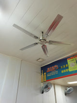 Rozzen Ceiling Fan