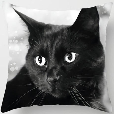 Black Cat Sofa Pillow Cover