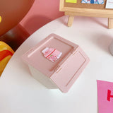 Kawaii Pastel Storage Box