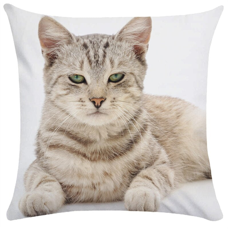 Lovely Cat Sofa Pillow Case