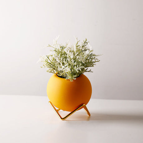 Ceramic Vase with Plant and Holder