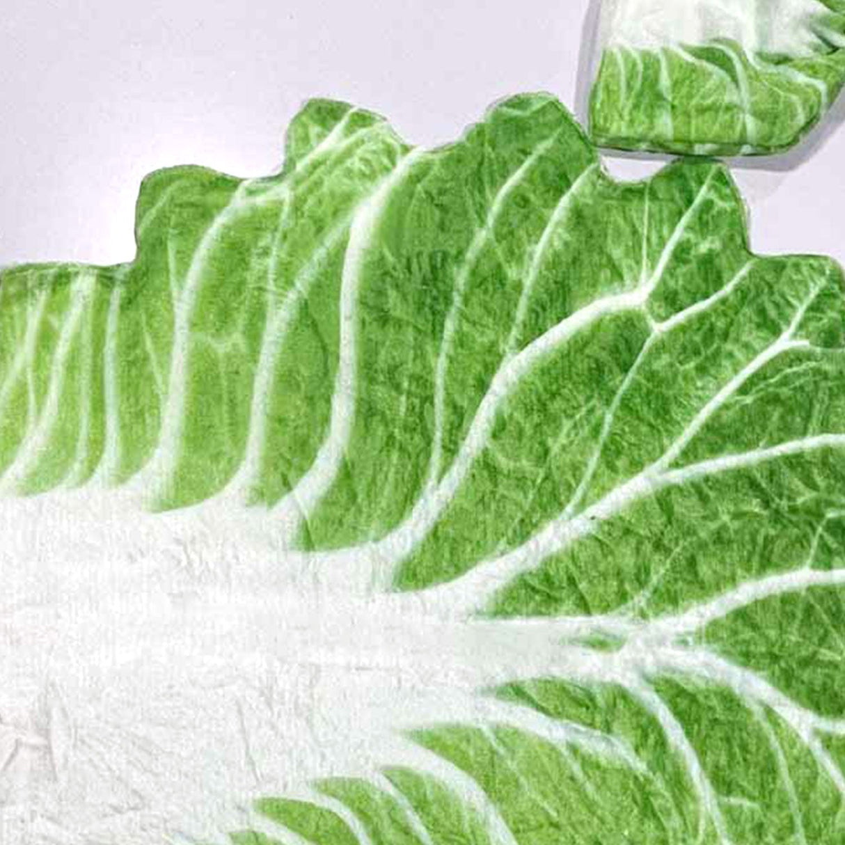 Funny Cabbage Wrapping Blanket